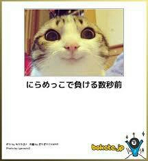 ボケて！で笑った動物編