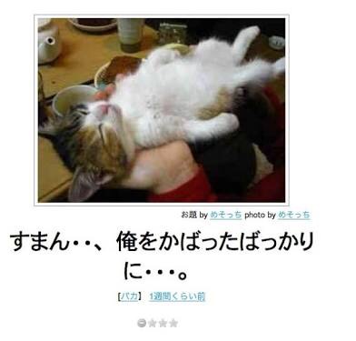 ボケて！で笑った動物編
