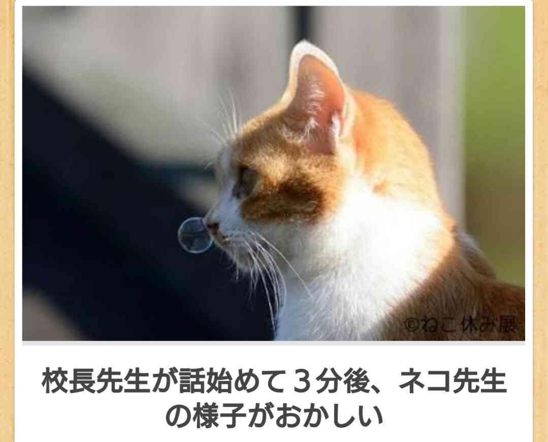 ボケて！で笑った動物編
