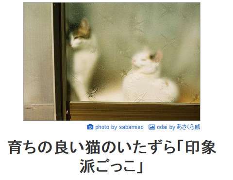 ボケて！で笑った動物編