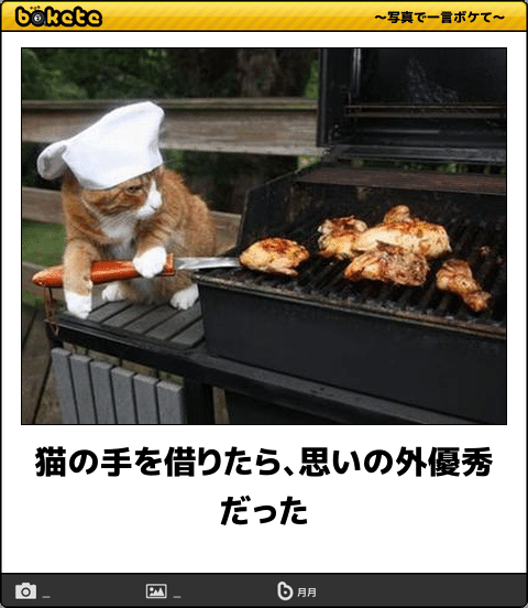 ボケて！で笑った動物編