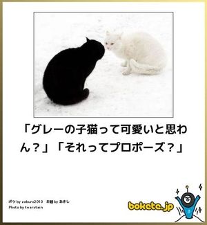 ボケて！で笑った動物編