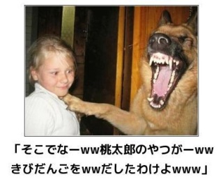 ボケて！で笑った動物編