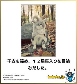 ボケて！で笑った動物編