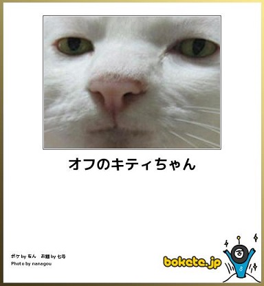 ボケて！で笑った動物編