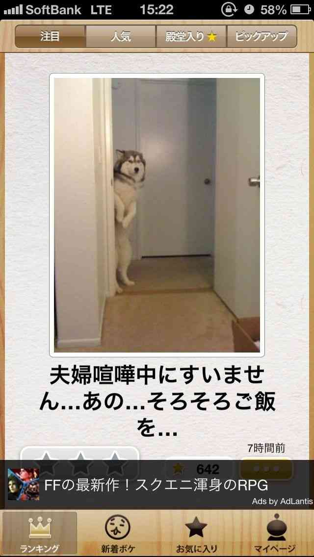 ボケて！で笑った動物編