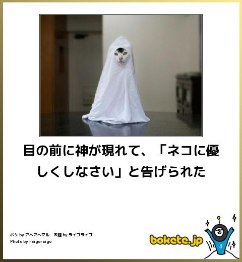 ボケて！で笑った動物編