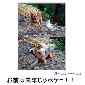 ボケて！で笑った動物編
