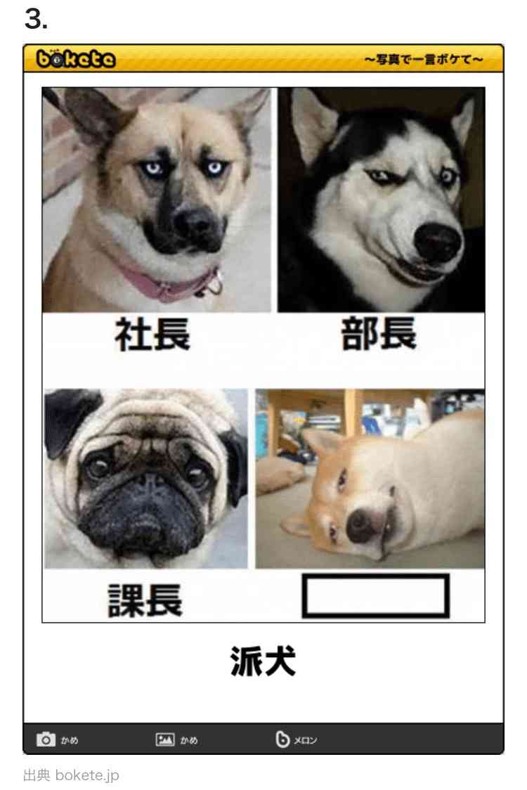 ボケて！で笑った動物編