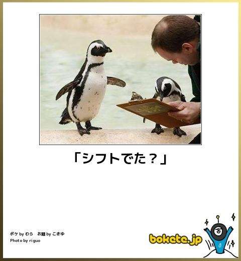 ボケて！で笑った動物編