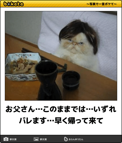 ボケて！で笑った動物編