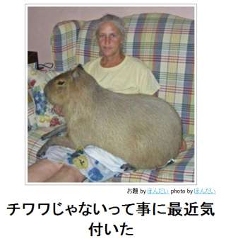 ボケて！で笑った動物編
