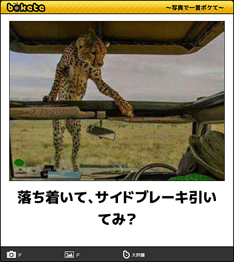 ボケて！で笑った動物編