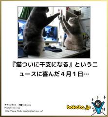 ボケて！で笑った動物編