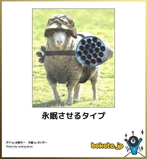 ボケて！で笑った動物編