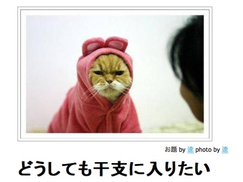 ボケて！で笑った動物編