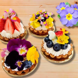 食べ物とは思えないようなスイーツ画像を貼るトピ