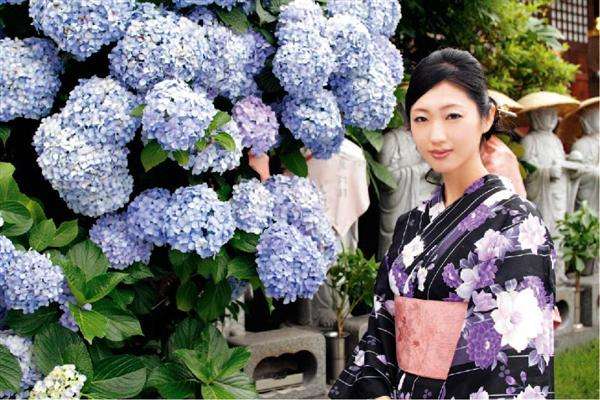 和装が似合う芸能人