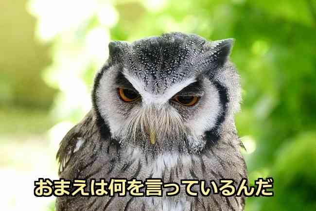 2度目離婚の浜崎あゆみ、意味深「幸福論」つぶやく「理屈や理由なんて存在しない」