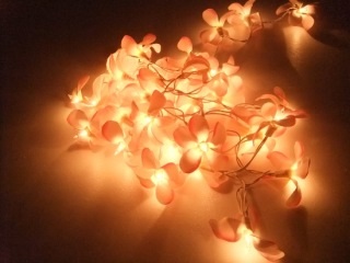 可愛いランプorライト