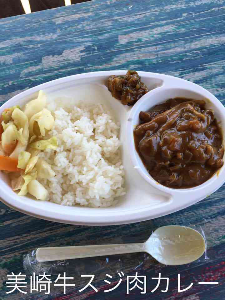 「大麻カフェ」が夢だった高樹沙耶容疑者に、石垣島から「最悪の移住者」「出て行ってほしい」
