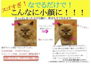 ダイエット広告の面白い写真ください。