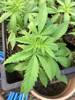 彼氏の家にあったら引く物