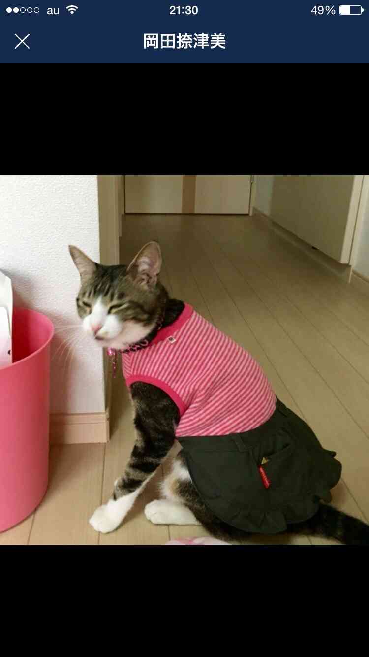 「経済的な余裕が無い人は、動物を飼うな」という獣医さんのツイートが話題に