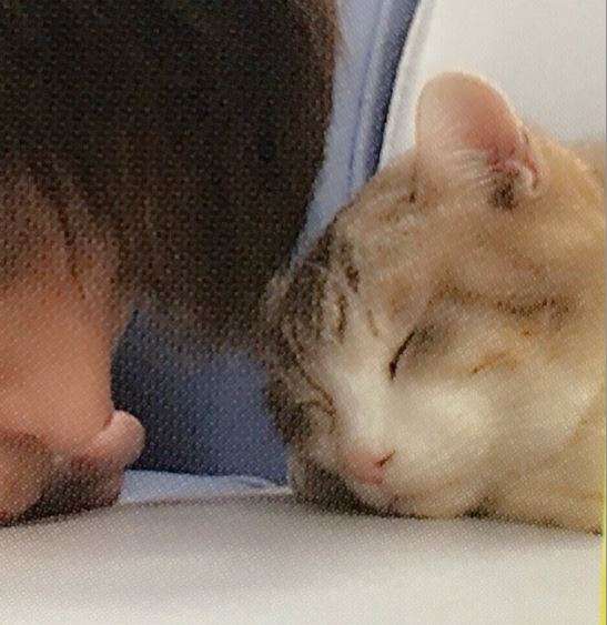 窪田正孝好きな人！