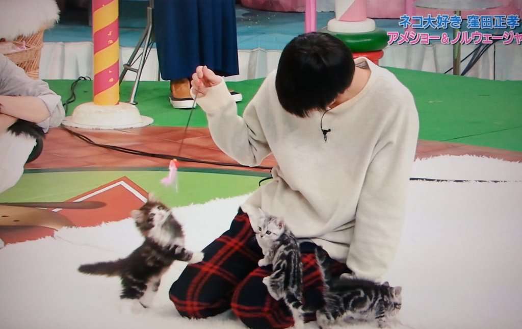 窪田正孝好きな人！