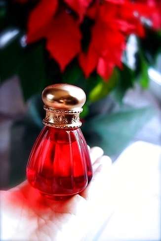 スキンケア用品のレギュラーを見せてください！
