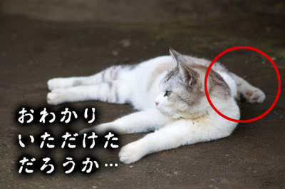 霊感がないけどここはヤバイと思った場所