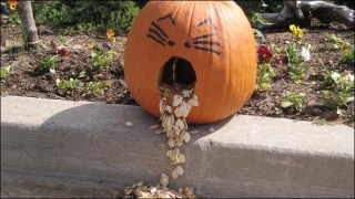 女子中学生に2千円払い、顔にだ液を垂らしてもらった疑いでバス運転手逮捕