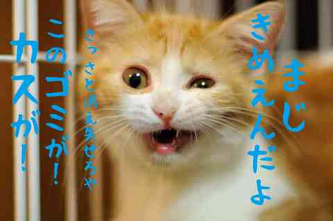 女子中学生に2千円払い、顔にだ液を垂らしてもらった疑いでバス運転手逮捕