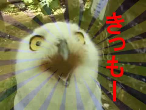 女子中学生に2千円払い、顔にだ液を垂らしてもらった疑いでバス運転手逮捕