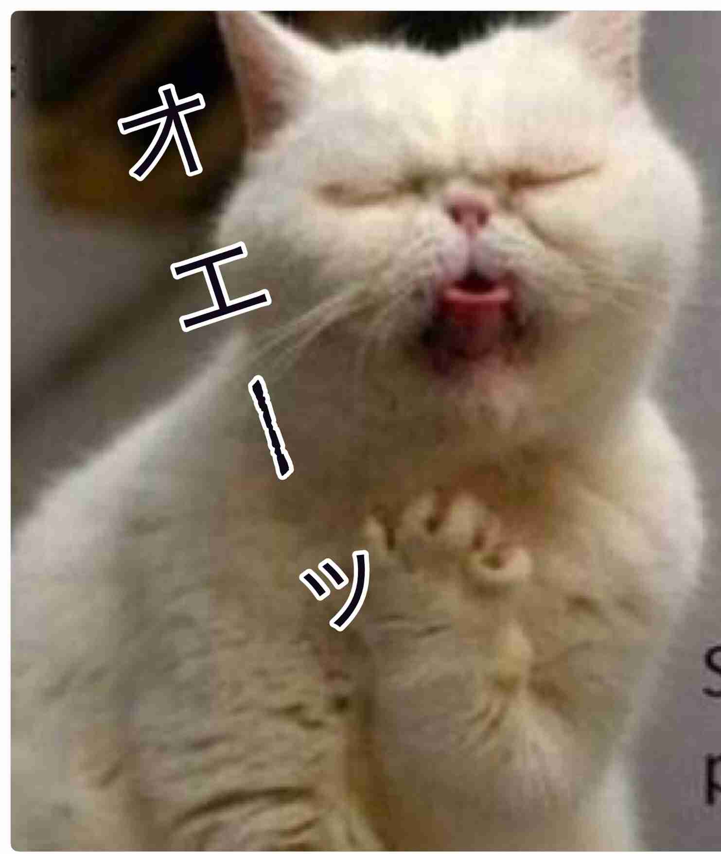 女子中学生に2千円払い、顔にだ液を垂らしてもらった疑いでバス運転手逮捕