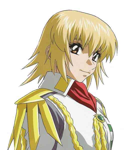 声が合っていないと思ったアニメキャラクター