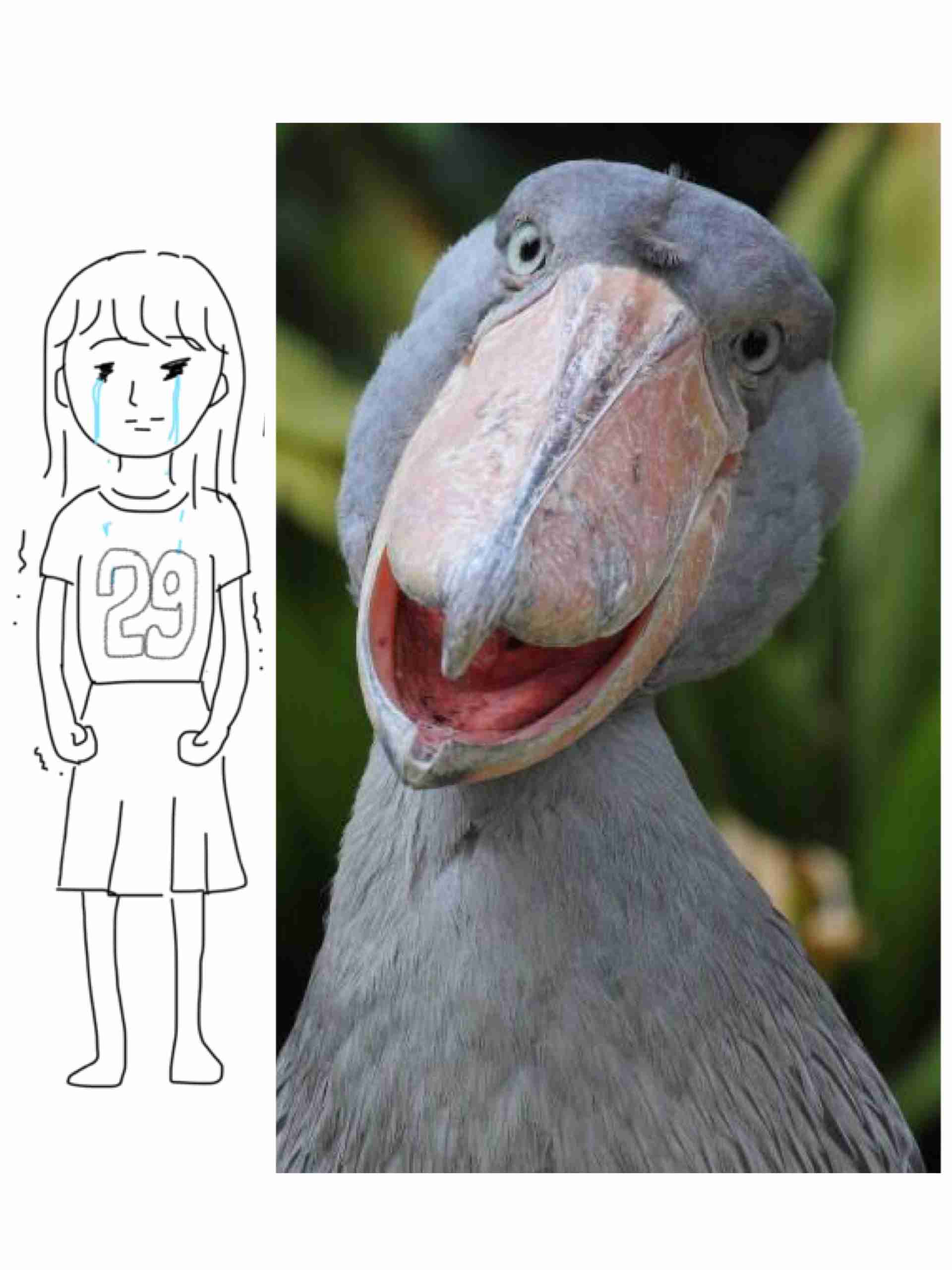 私の横に彼氏を描いて下さい…!