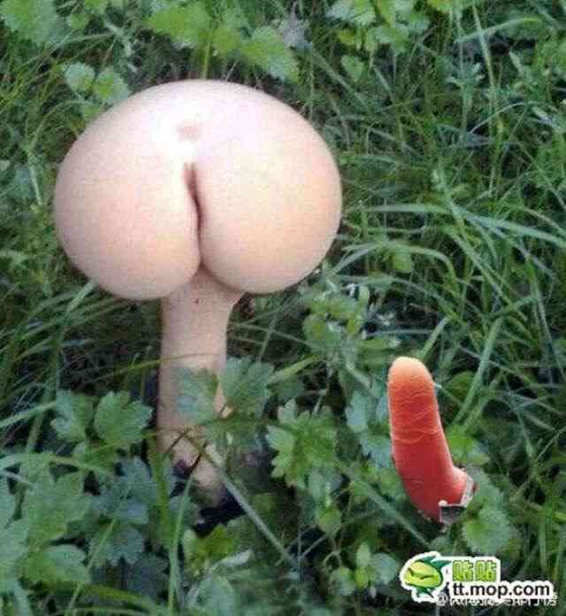 エロくないのにエロく見える画像