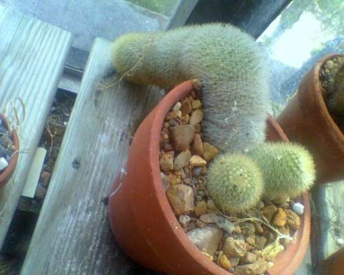 エロくないのにエロく見える画像