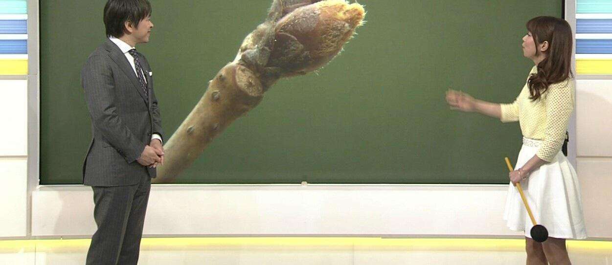 エロくないのにエロく見える画像