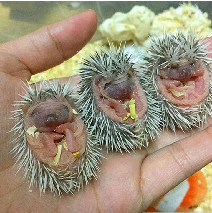 エロくないのにエロく見える画像