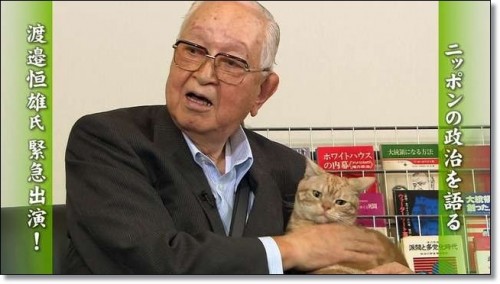 猫好きあるある