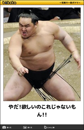 猫好きあるある