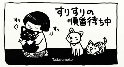 猫好きあるある