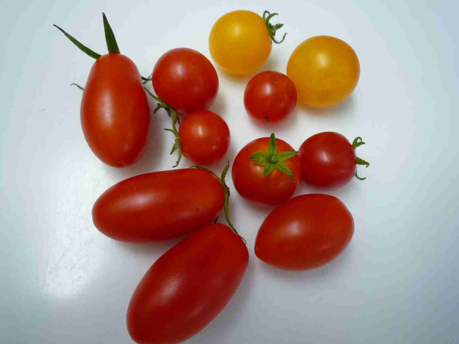 【ダイエット】食事制限の詳細教えて