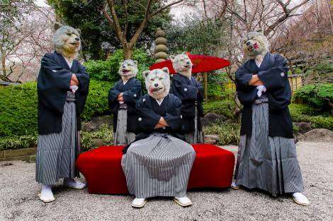 もし必ずハロウィンで衣装着なきゃならなくなったら