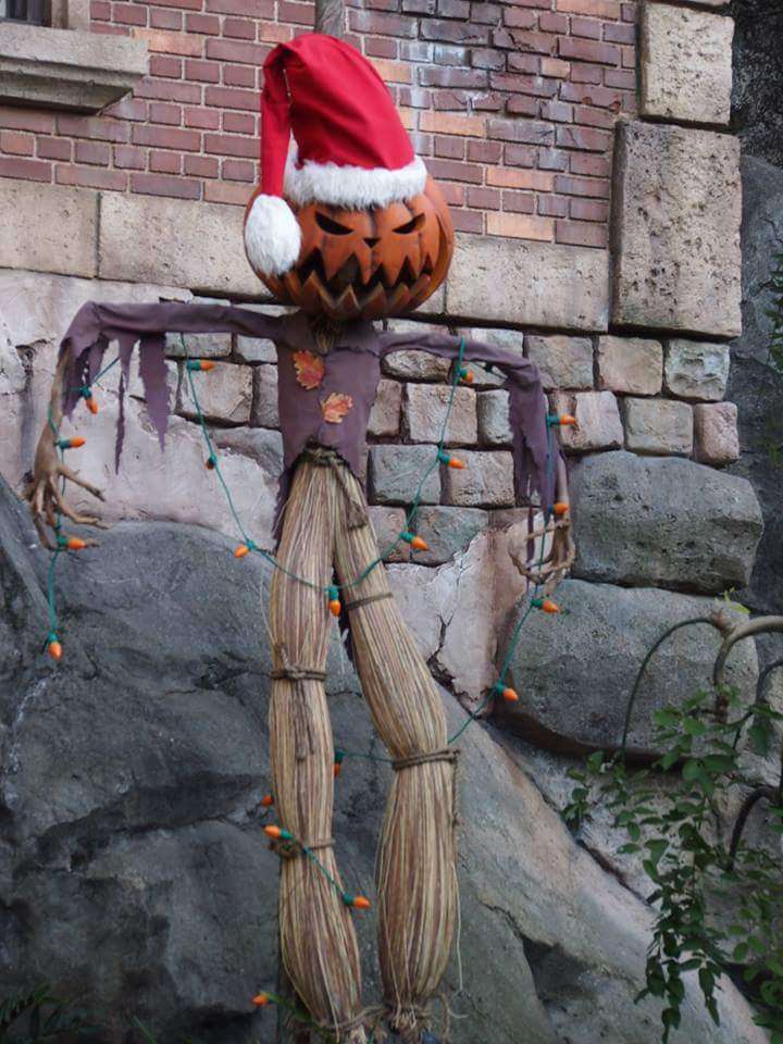 ハロウィンを感じる画像