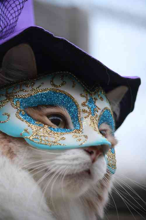 ハロウィンを感じる画像