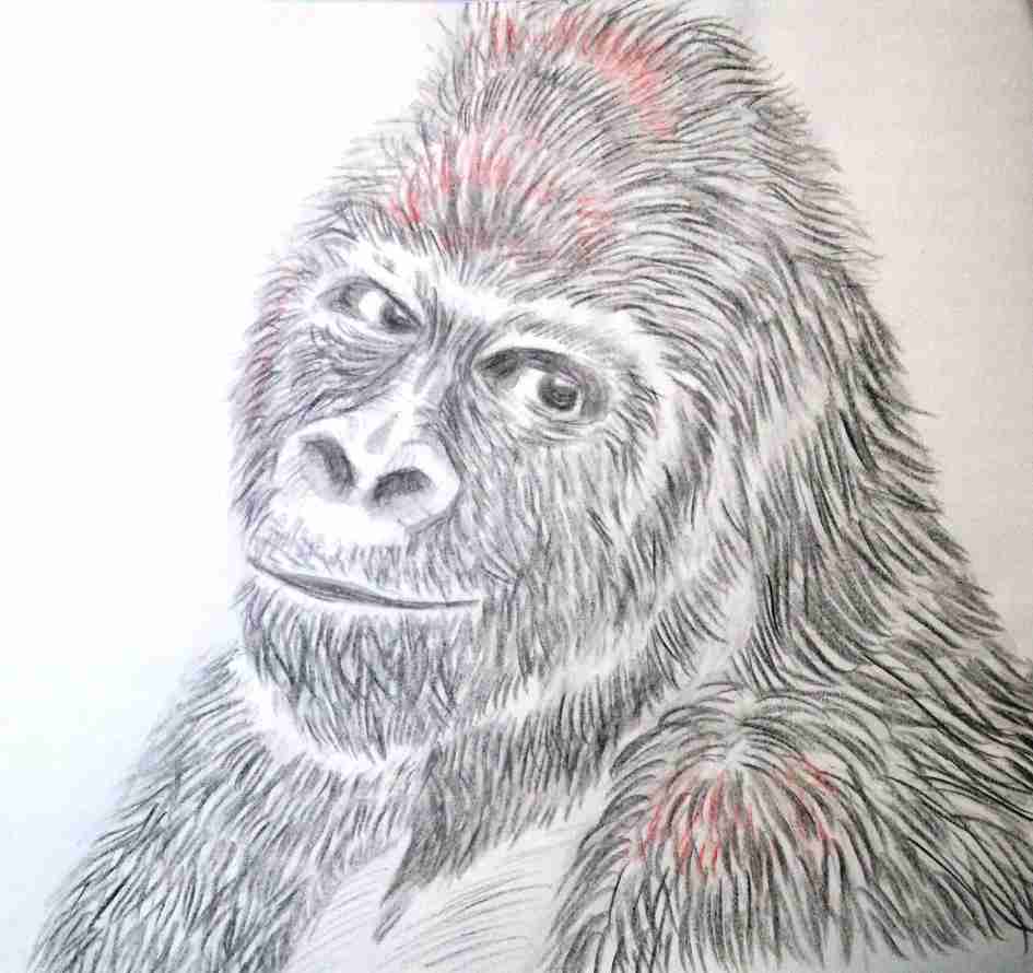 絵が下手な人集まれー！PART2